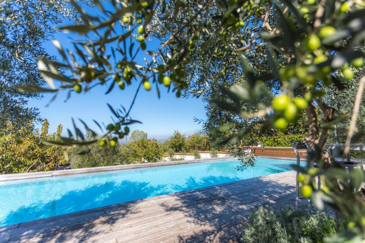 Villa Emi Zgornje Skofije Eksteriør bilde
